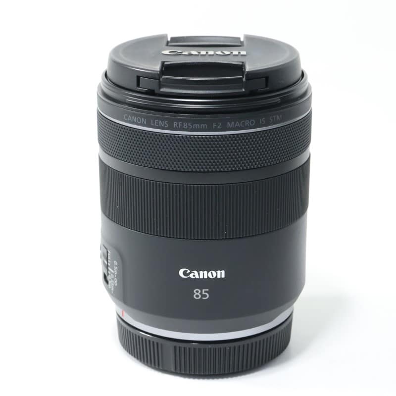 RF85mm F2 MACRO IS STM