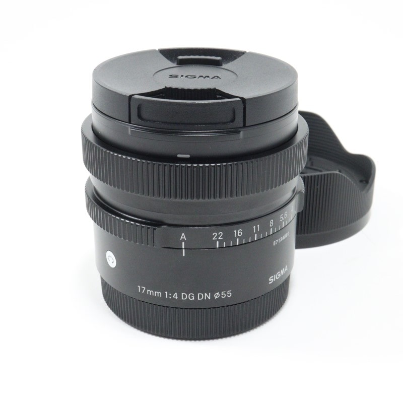 17mm F4 DG DN | Contemporary ソニーE