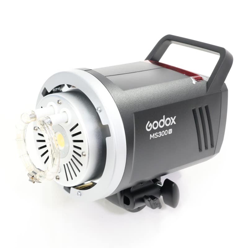 MS300 V
