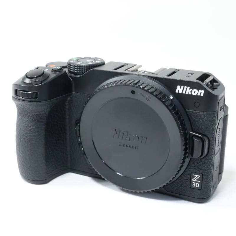 Z30 ボディ