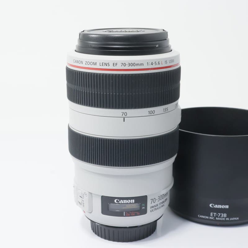 EF 70-300mm F4-5.6 L IS USM