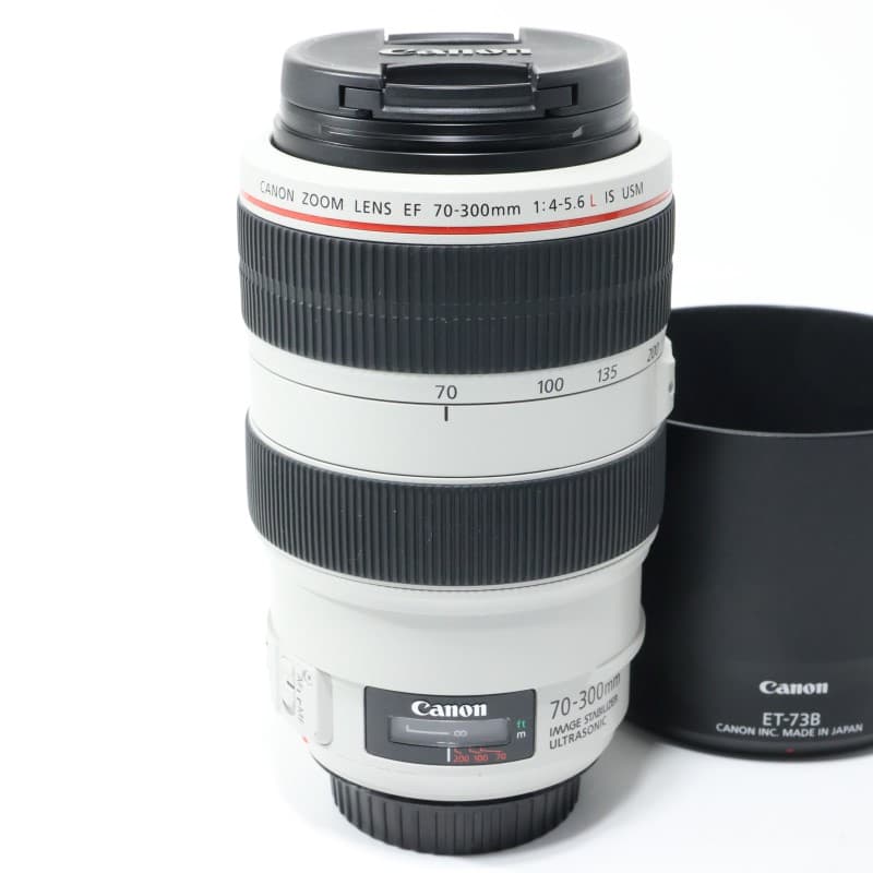 EF 70-300mm F4-5.6 L IS USM