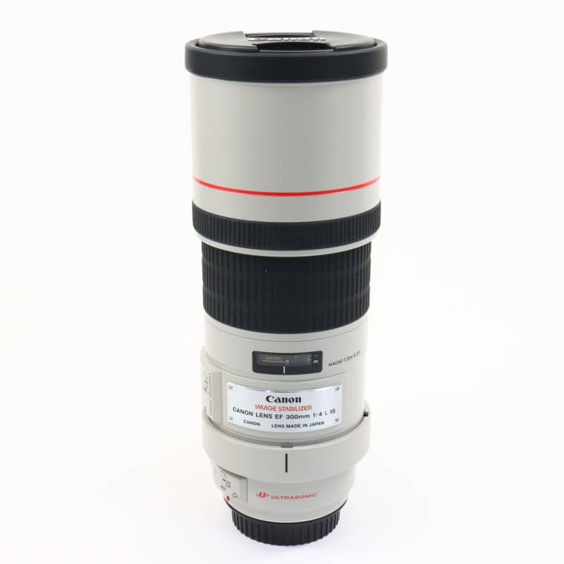 EF 300mm F4 L IS USM