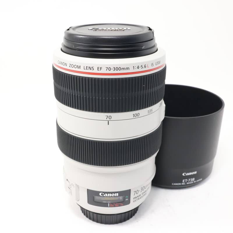 EF 70-300mm F4-5.6 L IS USM