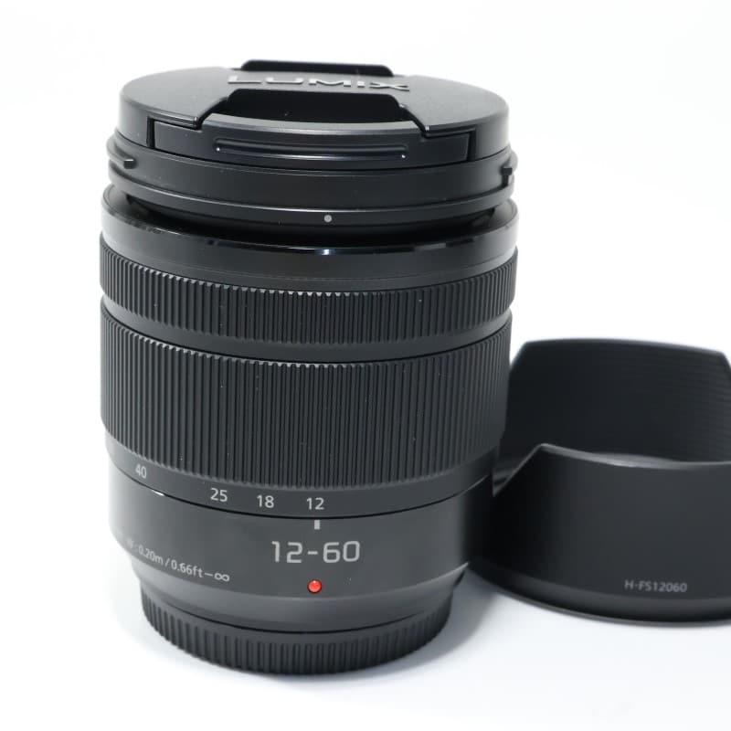 LUMIX G VARIO 12-60mm/F3.5-5.6 ASPH./POWER O.I.S. H-FS12060