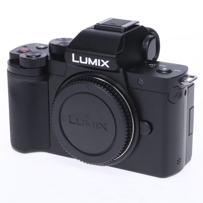 LUMIX G100 ボディ DC-G100