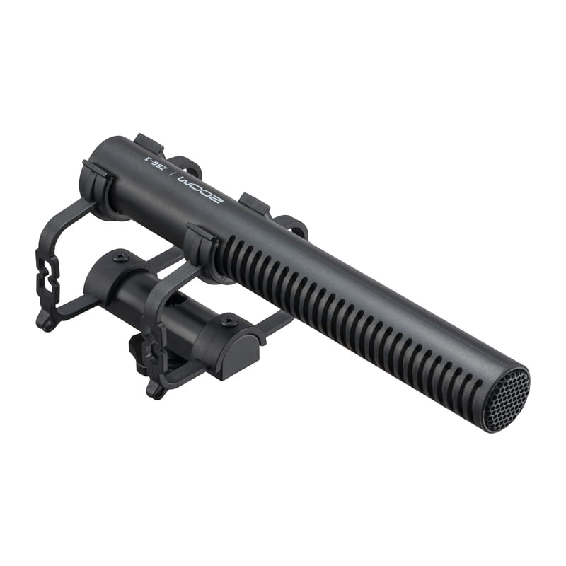 ZSG-1