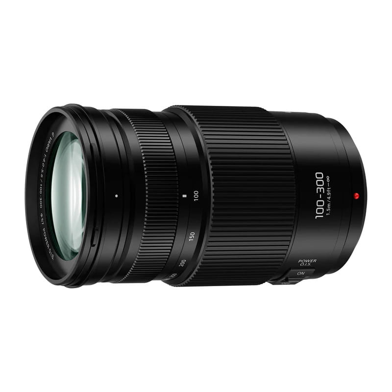 付属品完備 Panasonic ルミックス G VARIO 100-300mm