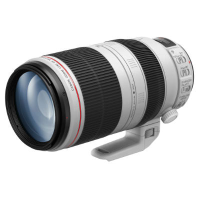 Canon EF100-400mm F4.5-5.6L IS II USM イメージ