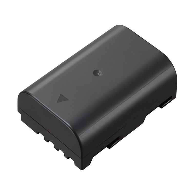 DMW-BLF19 バッテリーパック