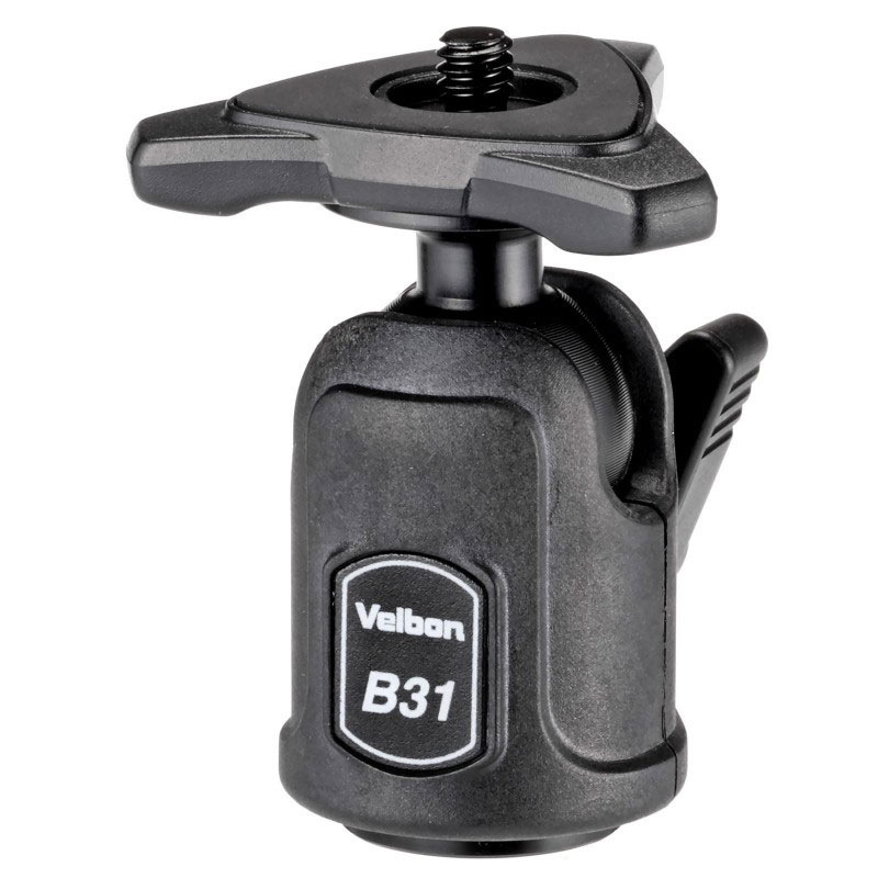 B31