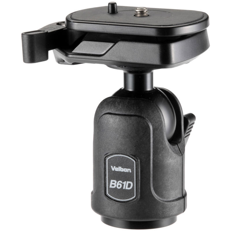 B61D