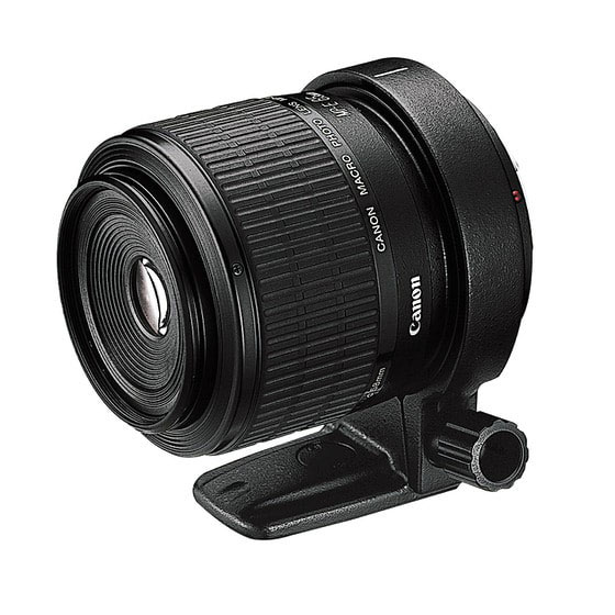 MP-E65mm F2.8 1-5×マクロフォト