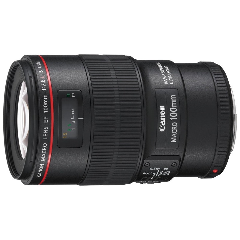 canon EF100mm f2.8 macroUSM