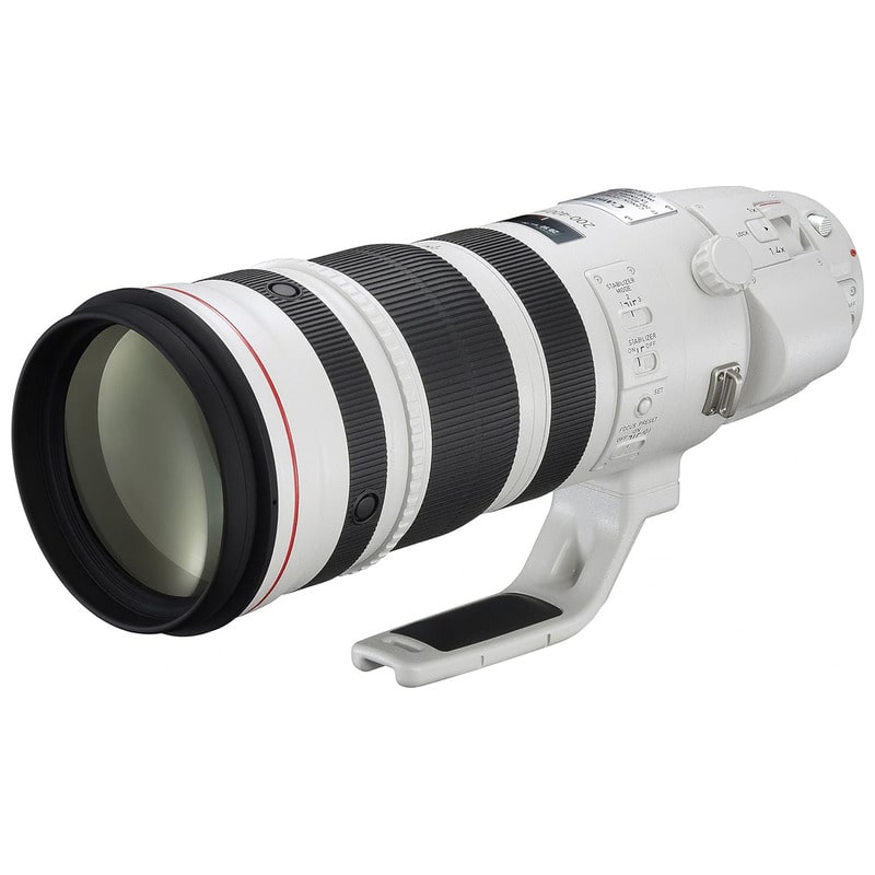 EF200-400mm F4L IS USM エクステンダー 1.4X