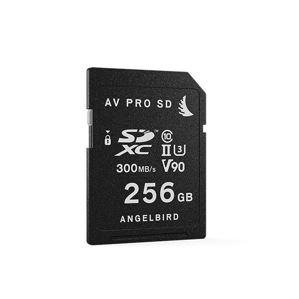 AVP256SDMK2V90 [AV PRO SD MK2 256GB V90]