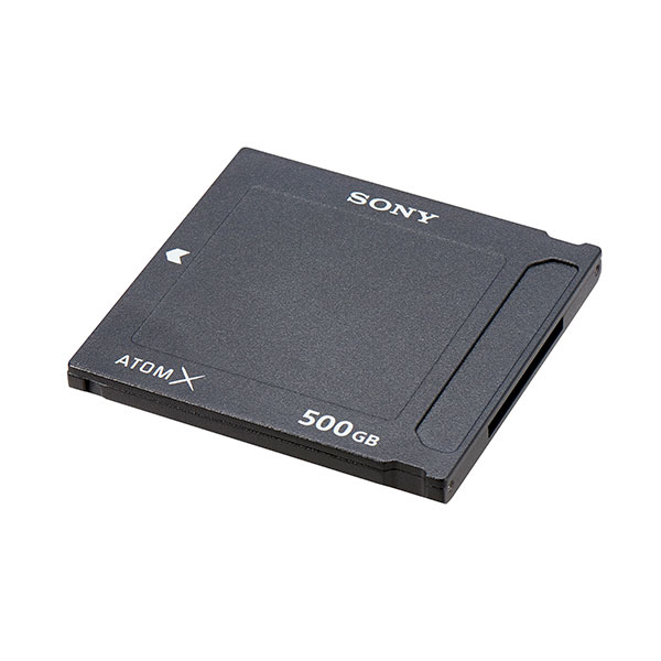 SV-MGS50 [AtomX SSDmini 500GB]