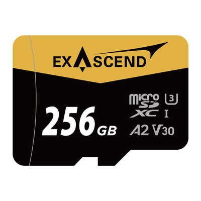 Catalyst UHS-I microSDXC Card 256G V30 EX256GUSDU1