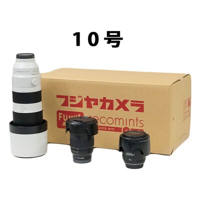 10号（内寸 幅 490 × 奥行 250 × 高さ 220 mm）