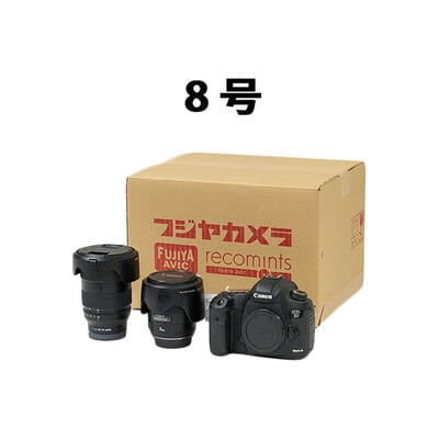 8号（内寸 幅 320 × 奥行 270 × 高さ 210 mm）