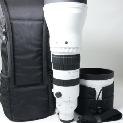 Sigma 300-600mm F4 DG OS | Sports ソニーEマウント