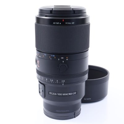 FE 100mm F2.8 Macro GM OSS SEL100M28GM