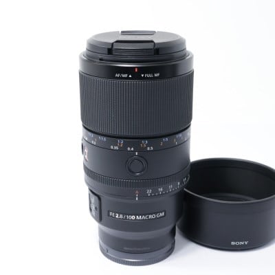 FE 100mm F2.8 Macro GM OSS SEL100M28GM