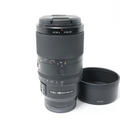FE 100mm F2.8 Macro GM OSS SEL100M28GM