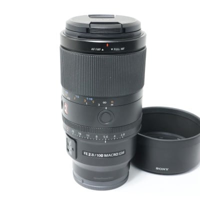 FE 100mm F2.8 Macro GM OSS SEL100M28GM