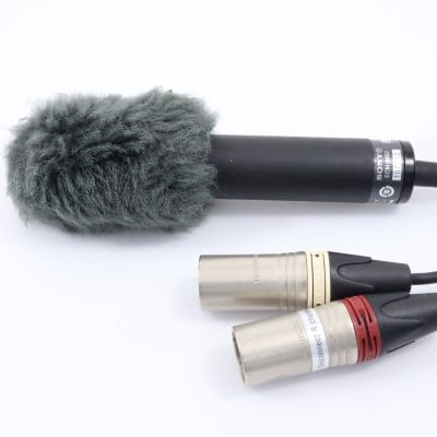 ECM-MS2