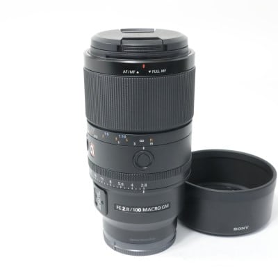 FE 100mm F2.8 Macro GM OSS SEL100M28GM
