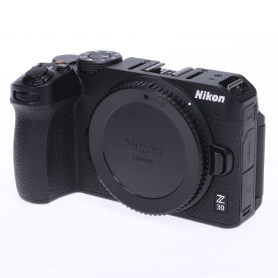 Z30 ボディ