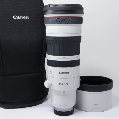 RF100-300mm F2.8 L IS USM
