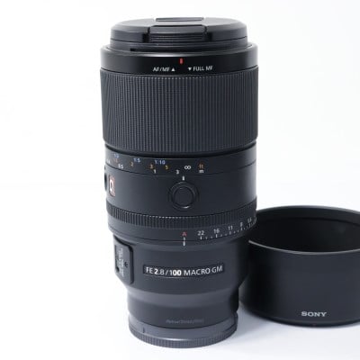 FE 100mm F2.8 Macro GM OSS SEL100M28GM