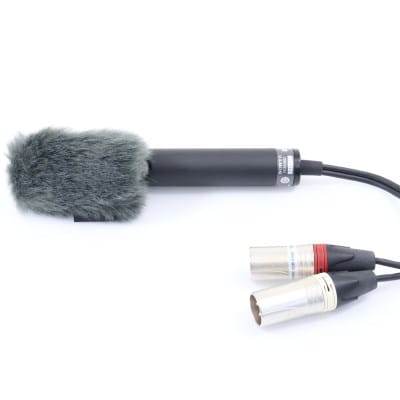ECM-MS2