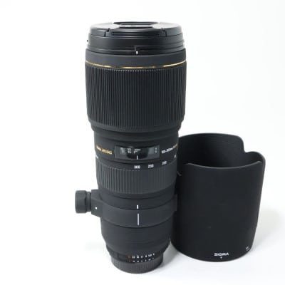 APO 100-300mm F4 EX DG HSM ニコン