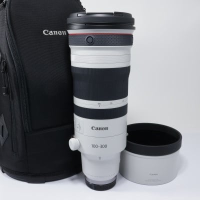 RF100-300mm F2.8 L IS USM