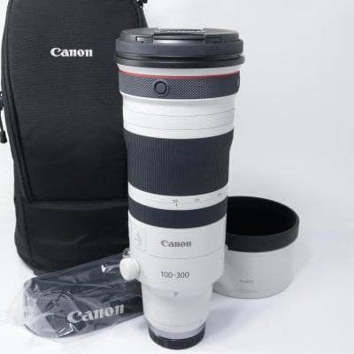 RF100-300mm F2.8 L IS USM