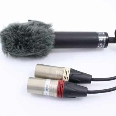 ECM-MS2