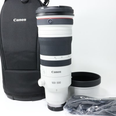 RF100-300mm F2.8 L IS USM