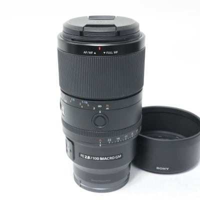 FE 100mm F2.8 Macro GM OSS SEL100M28GM