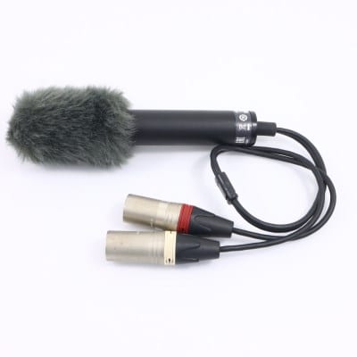 ECM-MS2