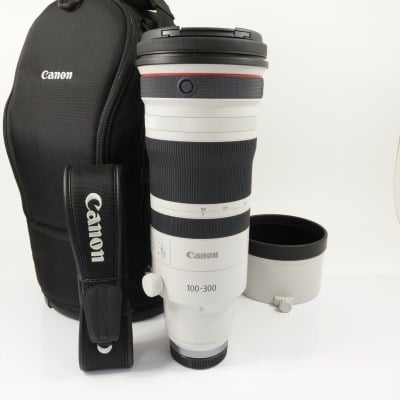 RF100-300mm F2.8 L IS USM