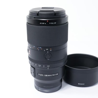 FE 100mm F2.8 Macro GM OSS SEL100M28GM