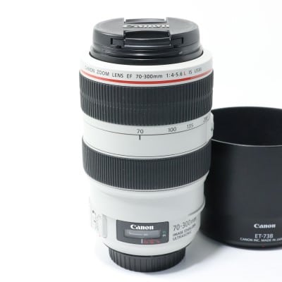EF 70-300mm F4-5.6 L IS USM