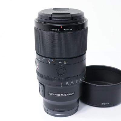 FE 100mm F2.8 Macro GM OSS SEL100M28GM
