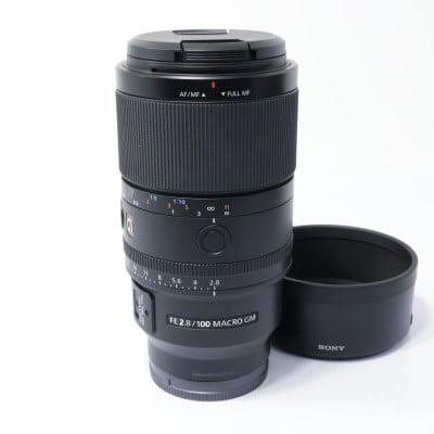 FE 100mm F2.8 Macro GM OSS SEL100M28GM
