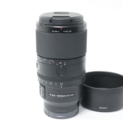 FE 100mm F2.8 Macro GM OSS SEL100M28GM