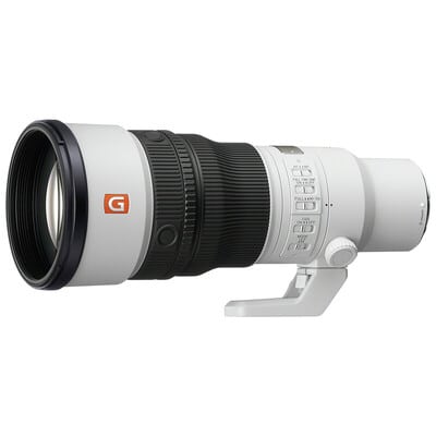 FE 600mm F6.3 GM OSS SEL600F63GM(2026年10月9日発売予定)