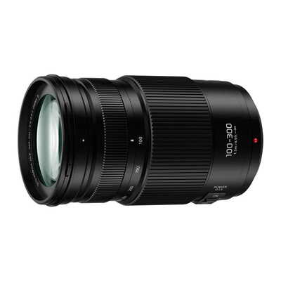 13064 ★良品★ Lumix 100-300mm II 手振れ補正 13064 ☆良品☆ Lumix 100-300mm II 手振れ補正